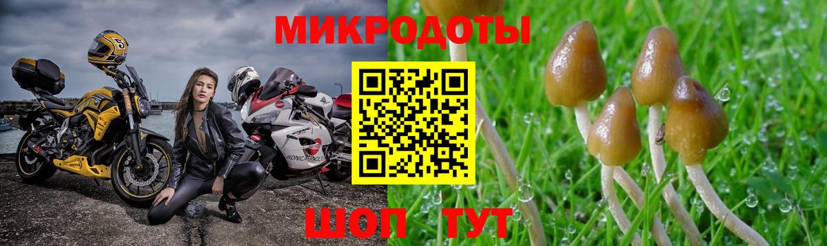 Псилоцибиновые грибы MAGIC MUSHROOMS  Вход с VPN  Клин 